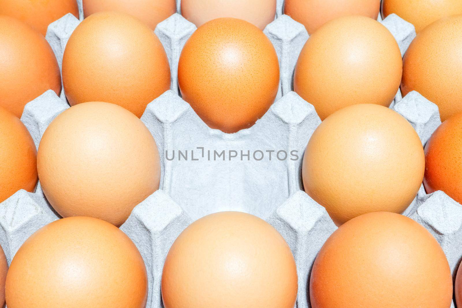 tray with chicken eggs on the whole frame as a background by roman112007