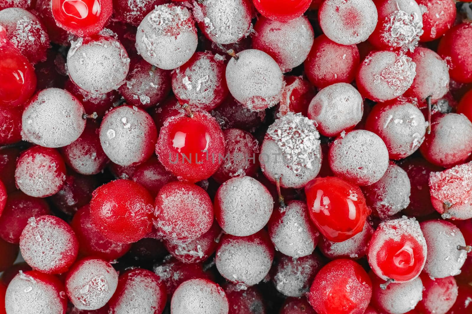 red viburnum berries frozen for the entire frame macro  by roman112007