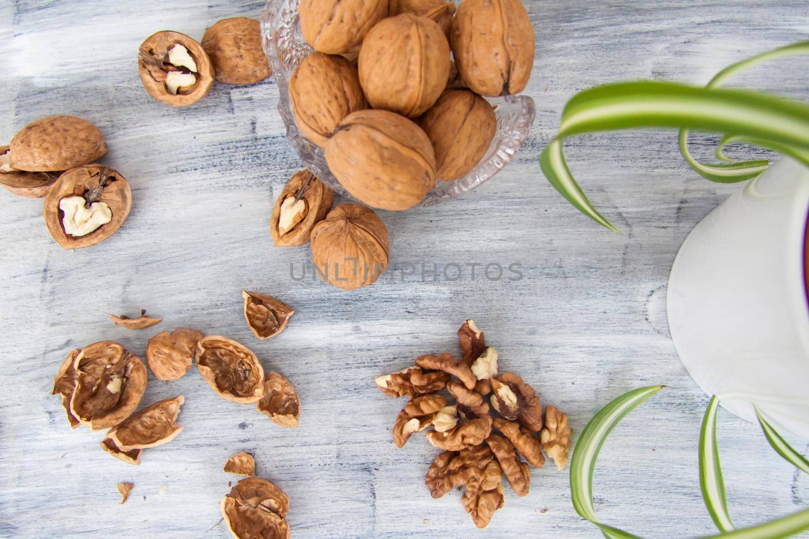 Walnuts on a painted background. Crystal bowl with nuts. Useful products. Walnuts.