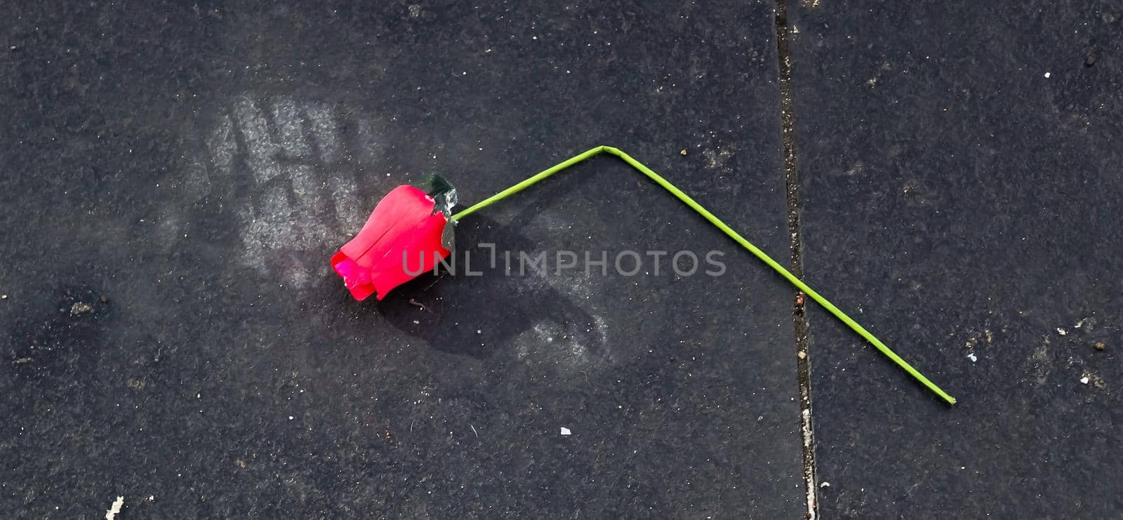 Broken valentine rose lying on a cold stone ground