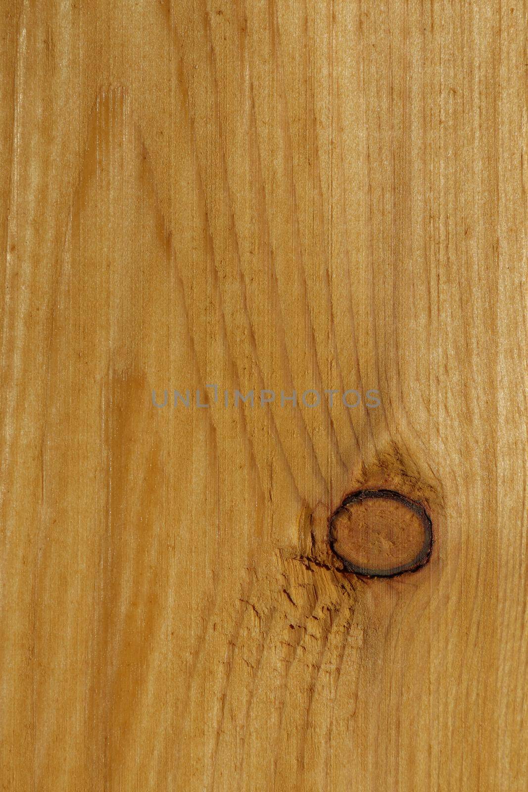 wooden colorful background close up as background by roman112007