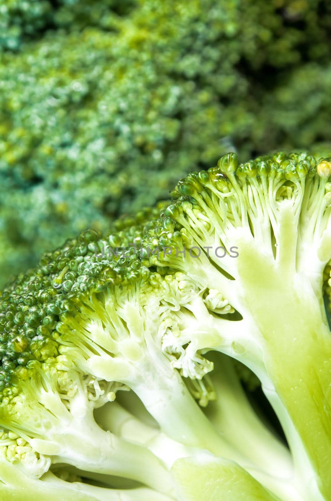 Close up to surface texture of succulent fresh inside the Broccoli vegetable