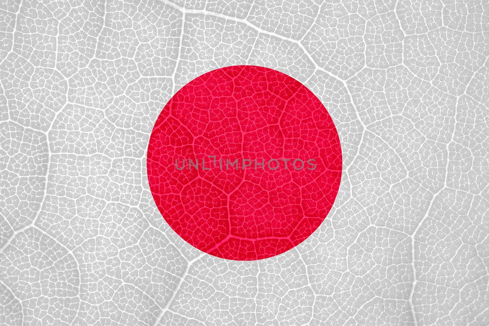 flag of Japan on the structure of a tree leaf macro. High quality photo