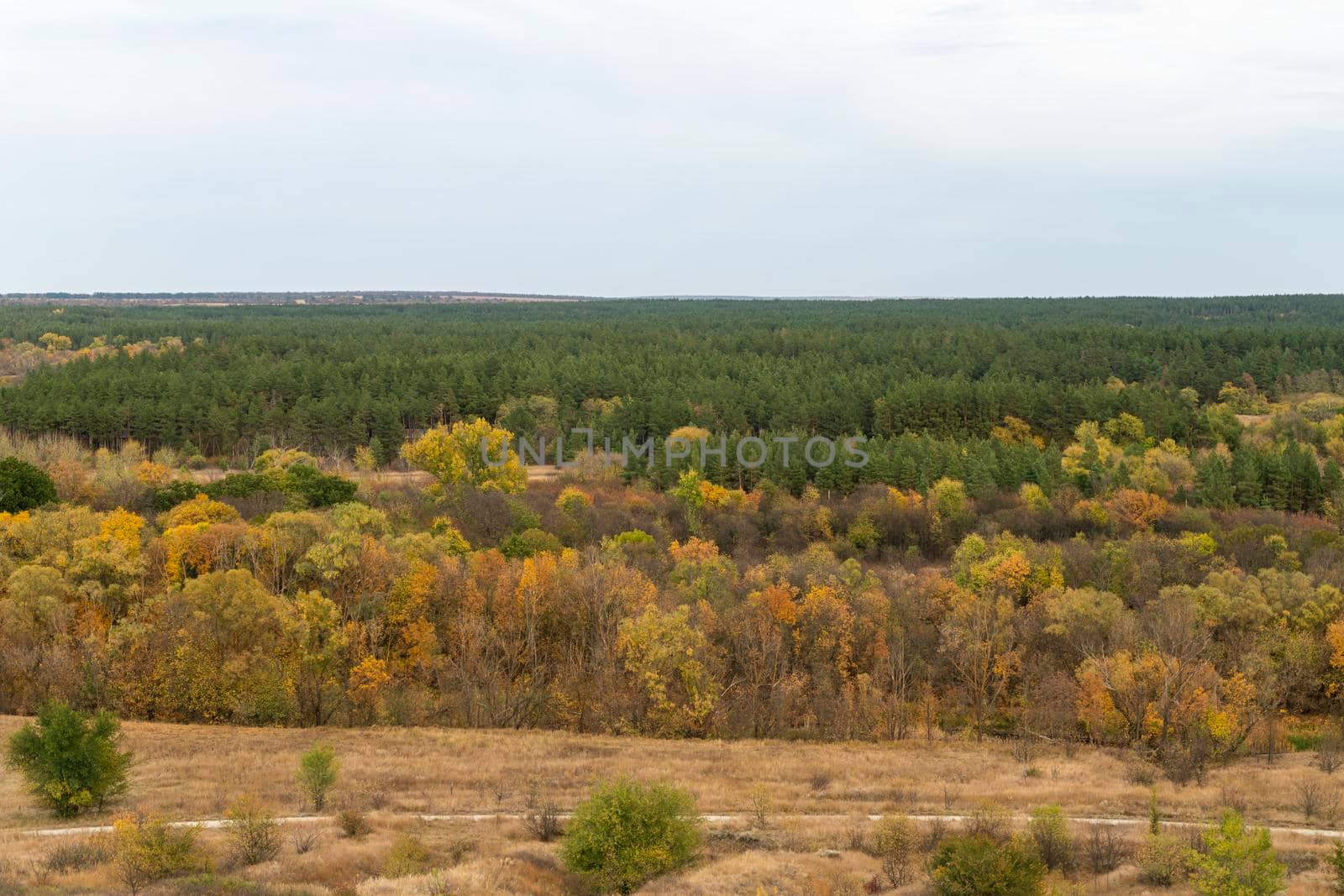 autumn forest landscape with blue sky background. High quality photo