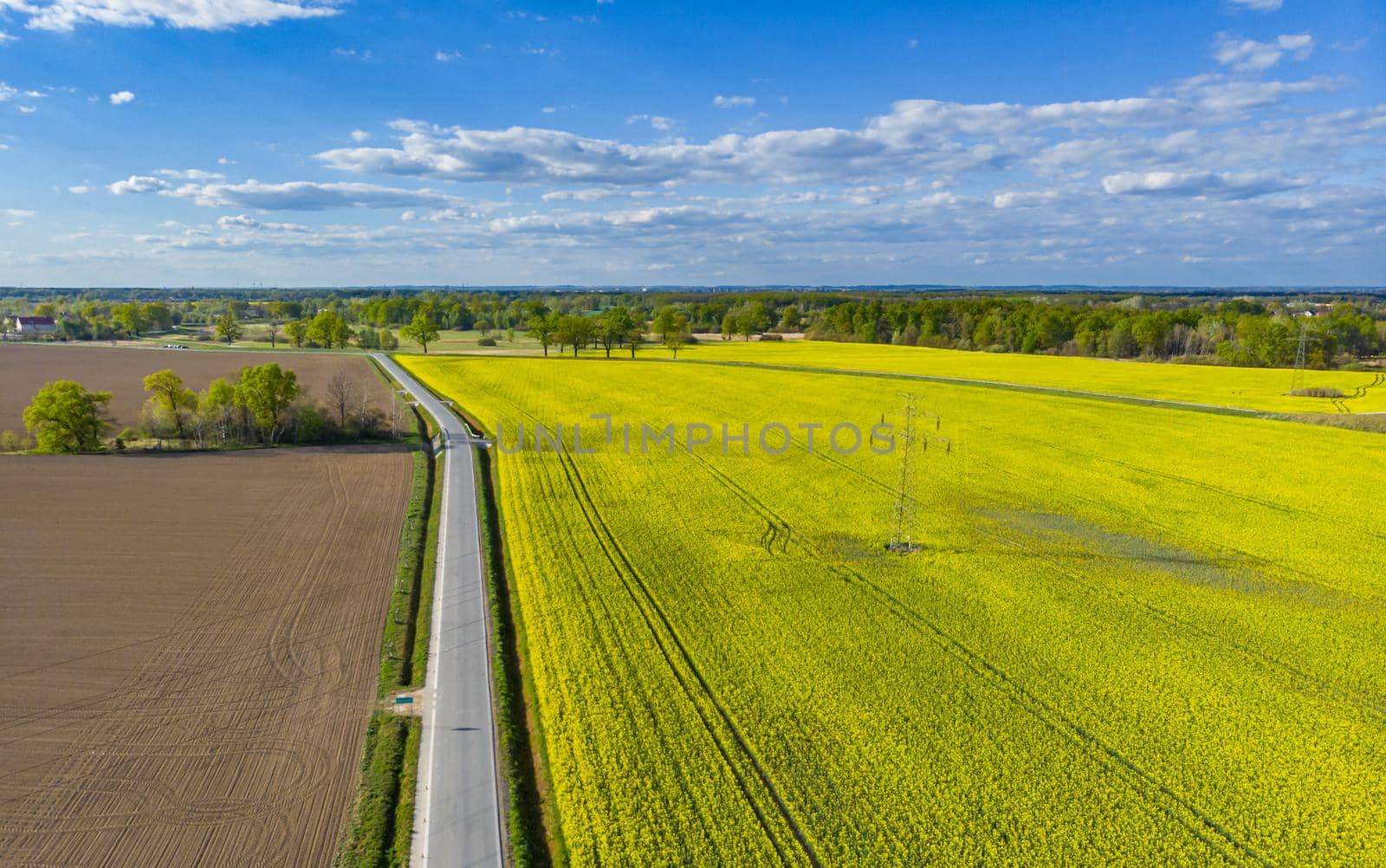 Aerial drone look to long road between yellow fields of colza at cloudy sunny day