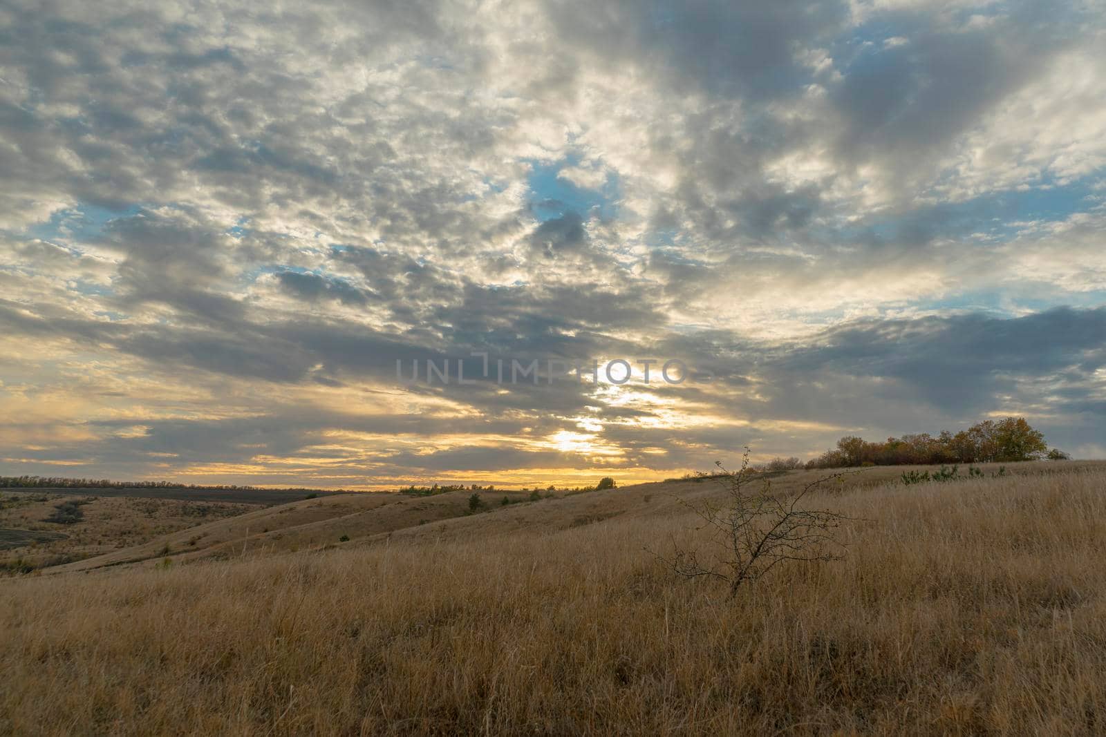 autumn forest landscape with blue sky background. High quality photo