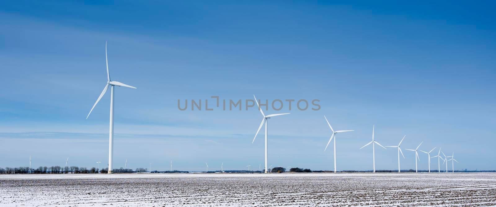 snow covered fields and wind turbines in dutch polder of flevoland under blue sky in winter