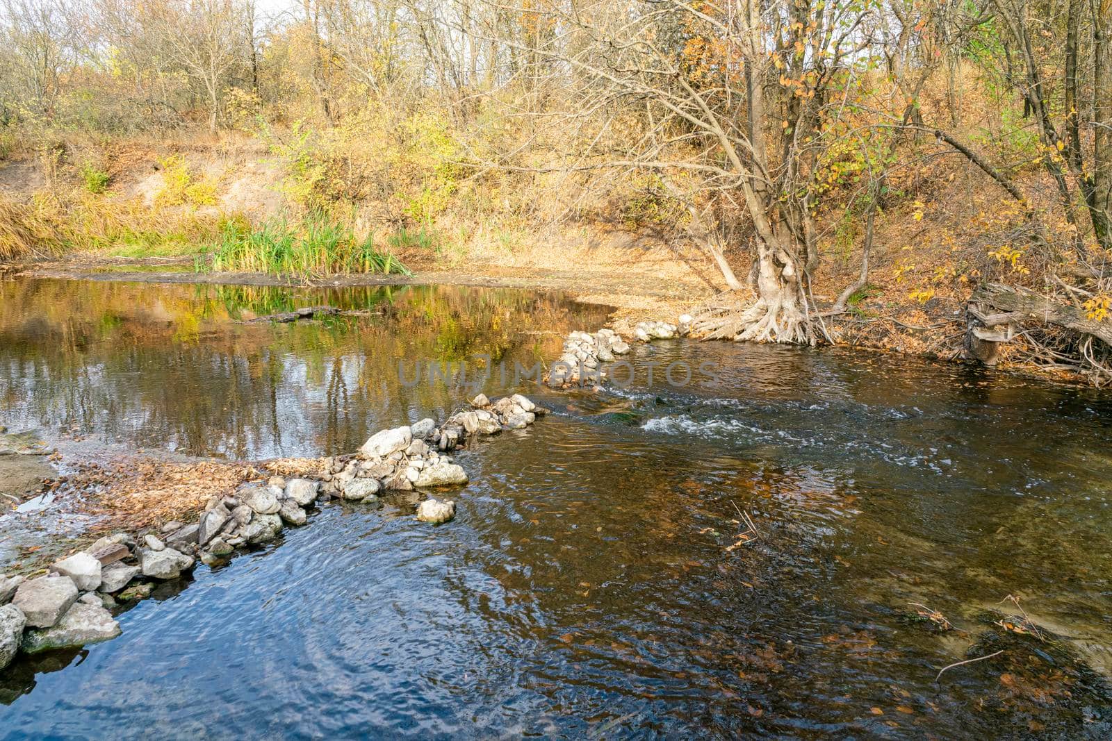 autumn forest and river landscape with blue sky background by roman112007