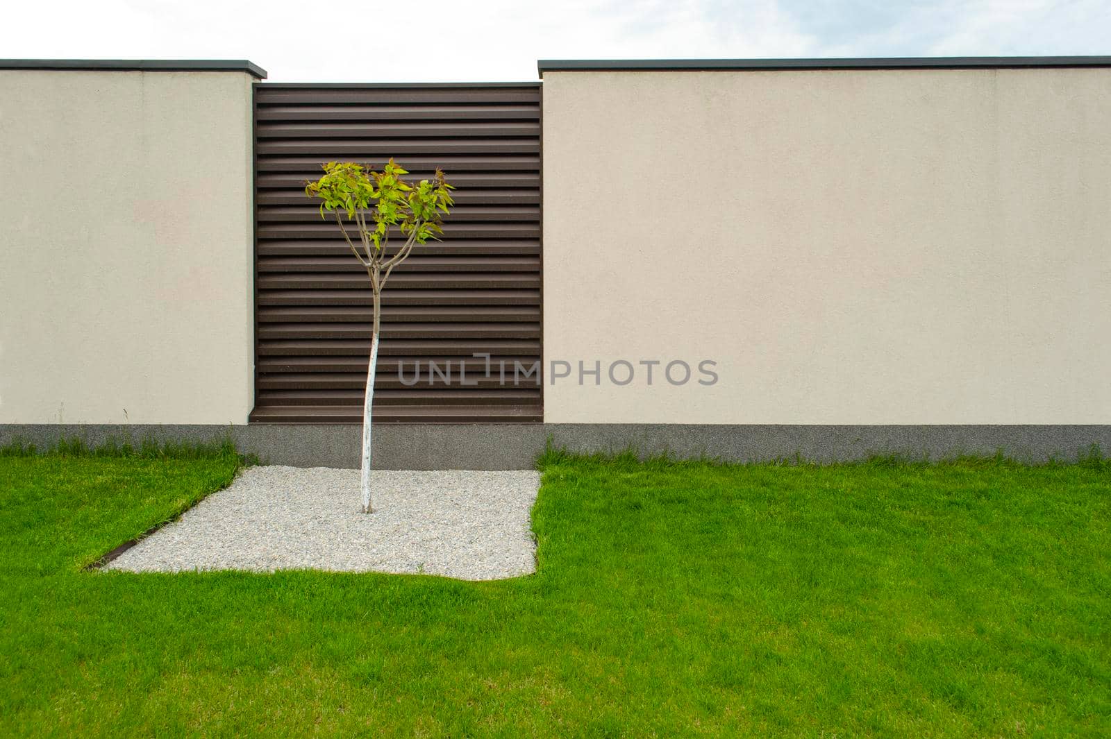 Tree in a square area of stones on the green grass, in the background of a brown and gray concrete fence. Idea for backyard landscaping. Space for text. by mtx