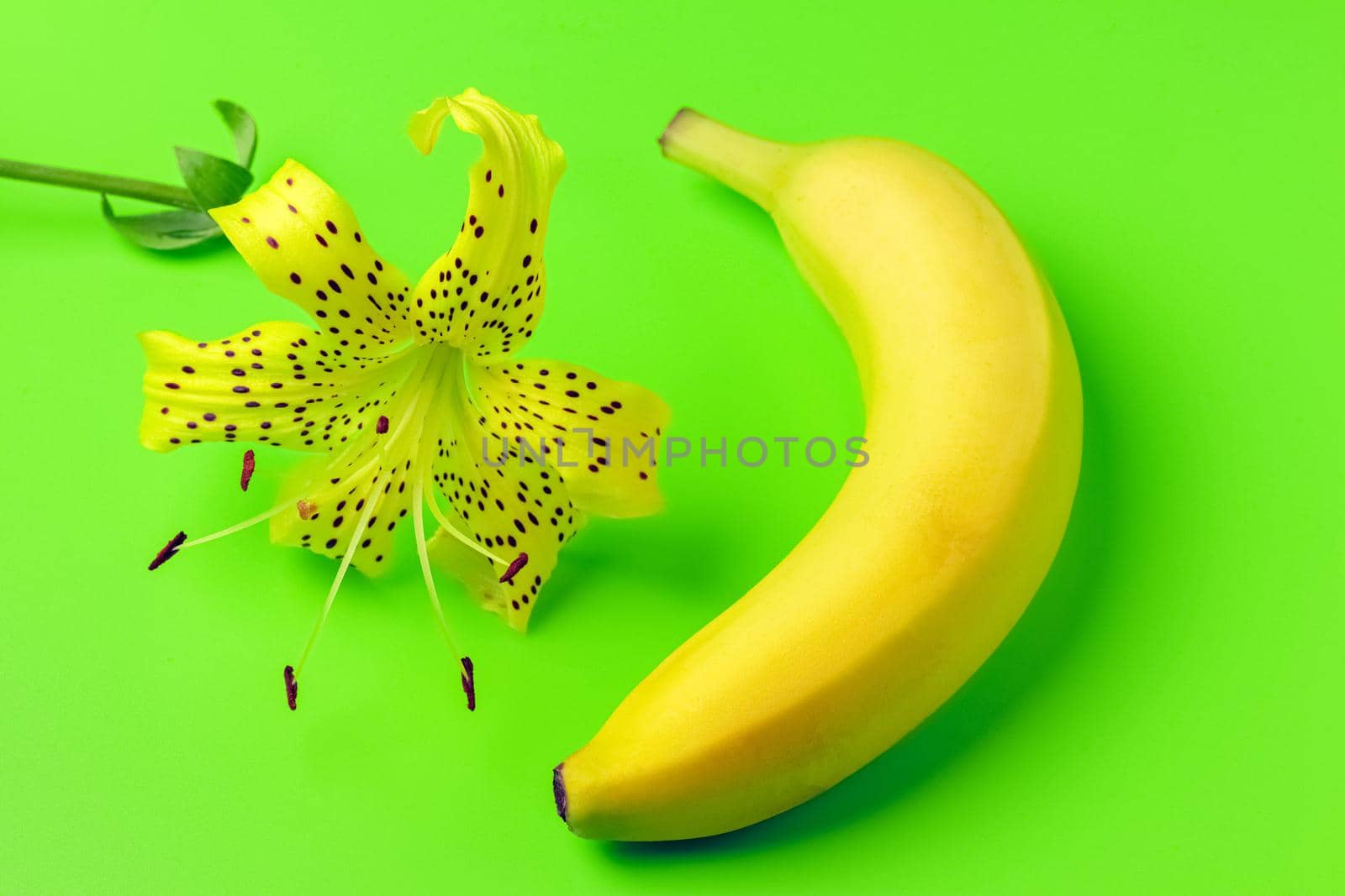 tiger Lily with banana on a green background close-up. isolate. High quality photo