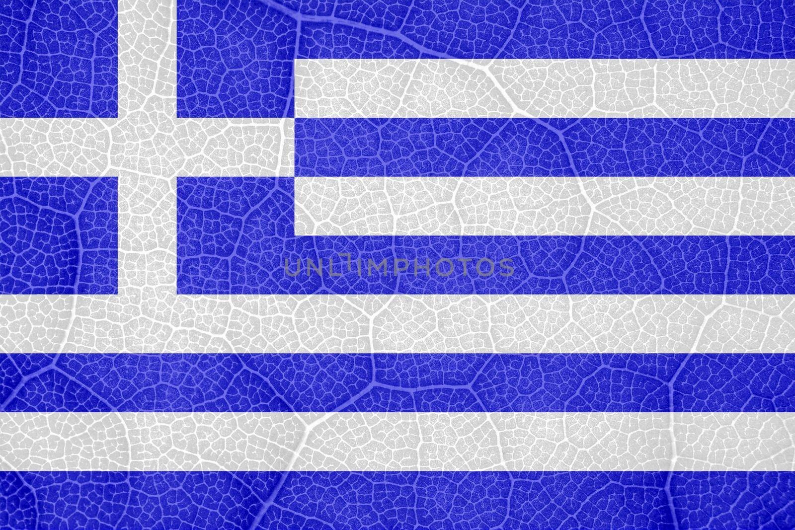 flag of Greece on the structure of a tree leaf macro. High quality photo