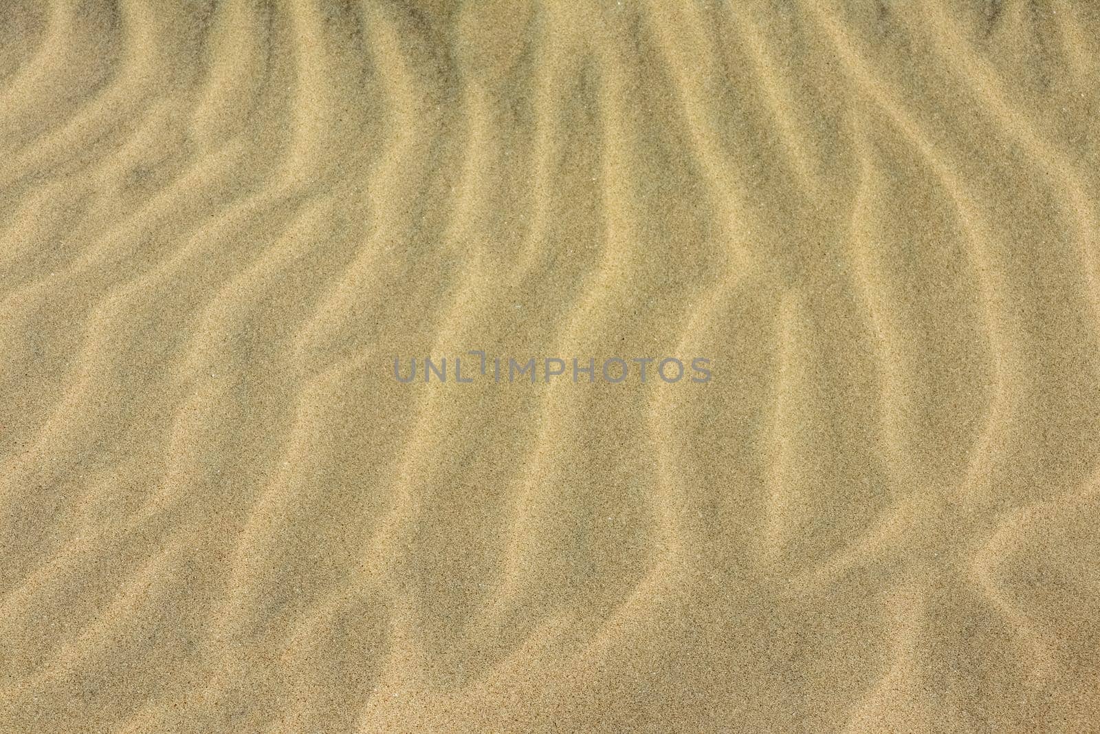 Sand on the beach as background. Dune sand. High quality photo