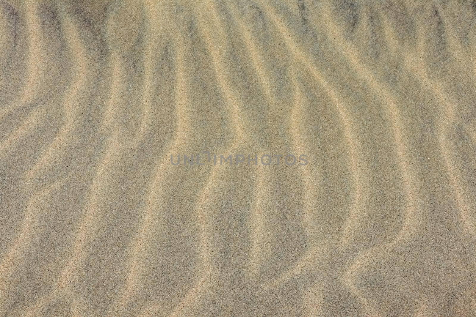 Sand on the beach as background. Dune sand. High quality photo