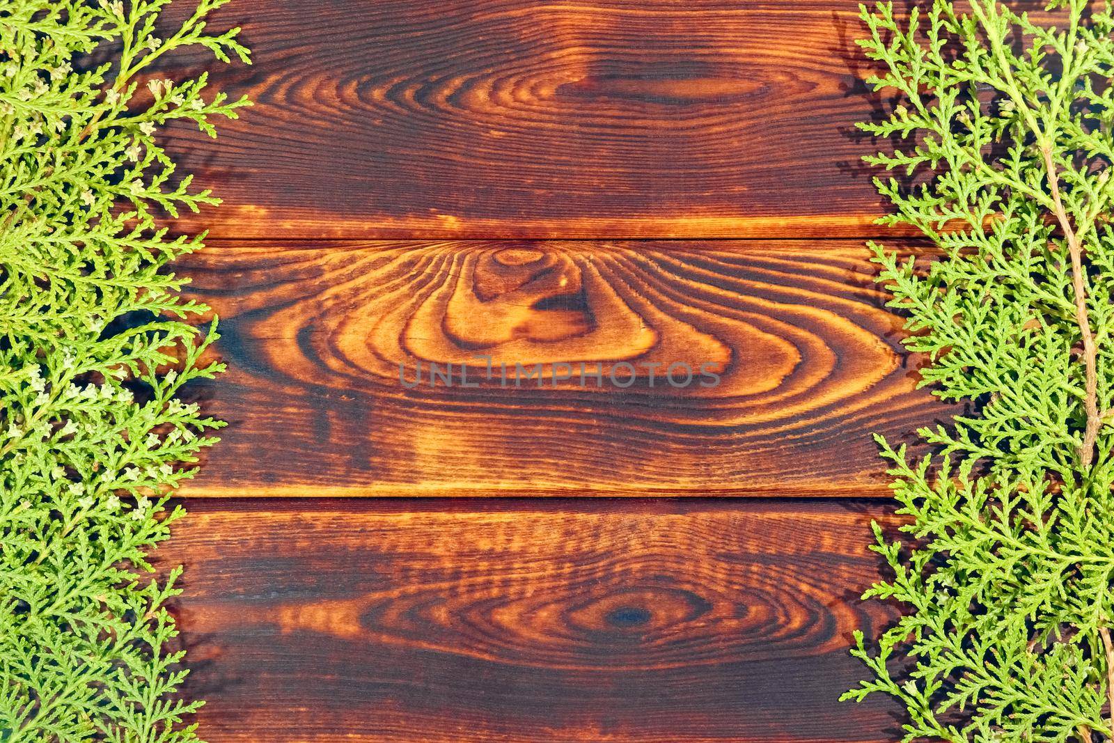 TUI branches on a wooden background as a background. High quality photo