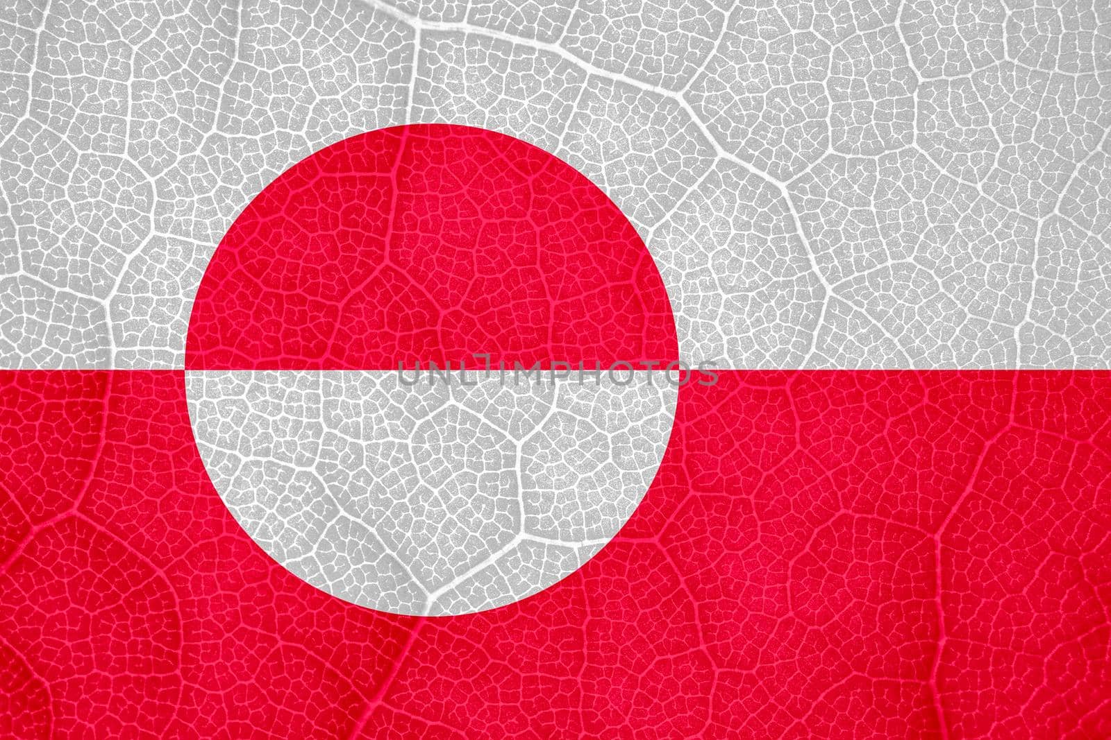 flag of Greenland on the structure of a tree leaf macro. High quality photo
