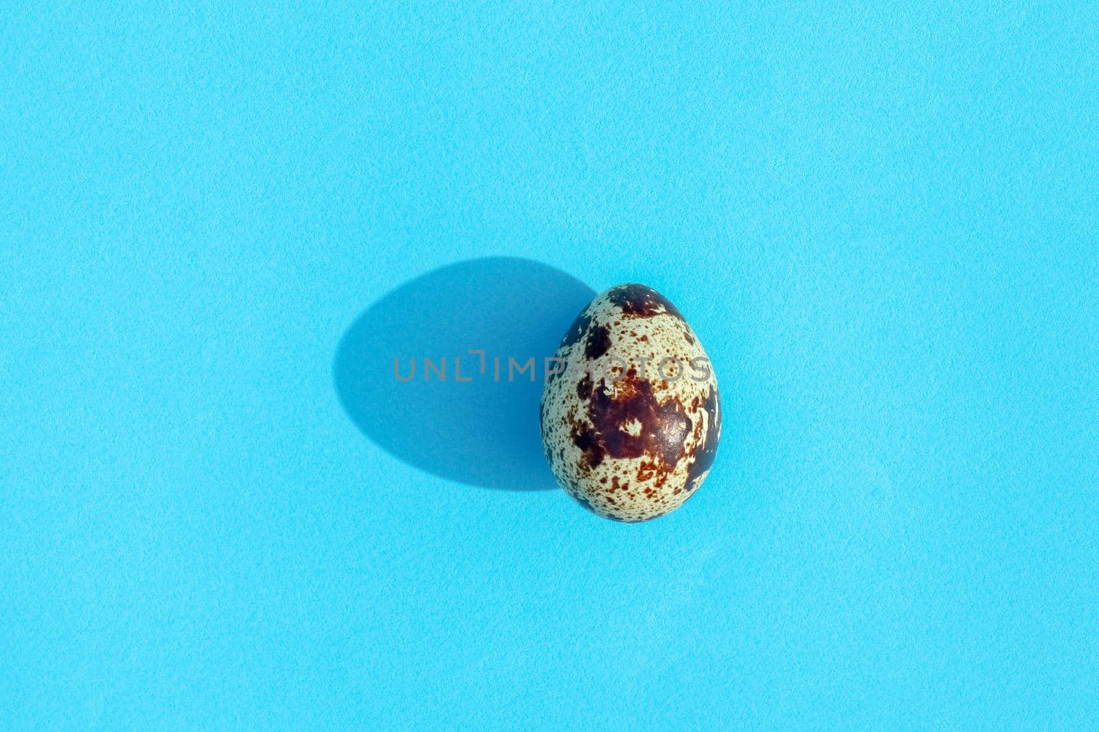egg with a hard shadow in the top view pattern. High quality photo