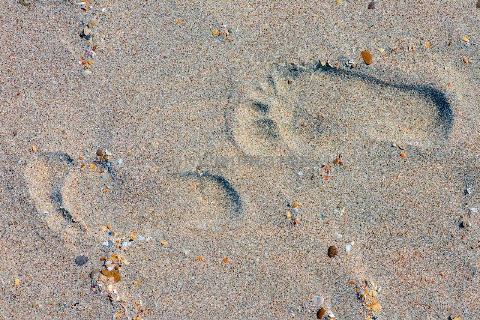 footprints on the beach dune sand as a background. High quality photo