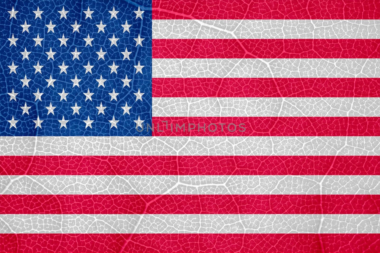flag of the United States of America on the structure of a tree leaf macro. High quality photo