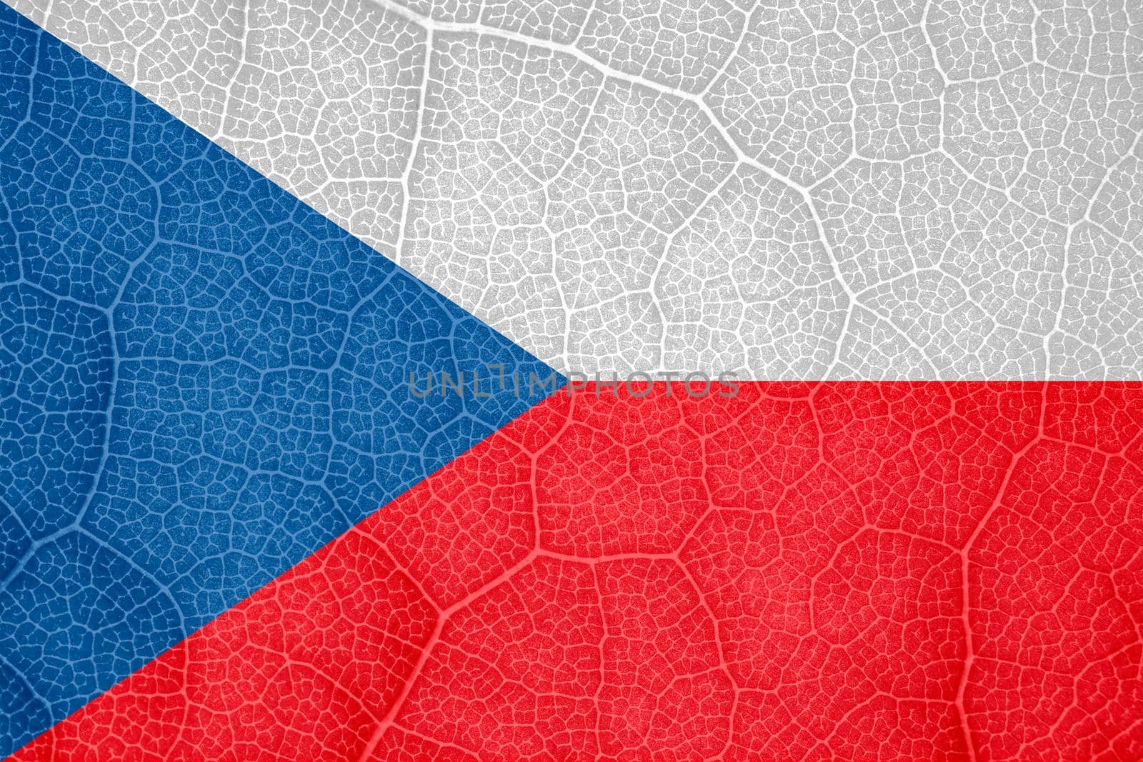 lag of Czech Republic on the structure of a tree leaf macro. High quality photo