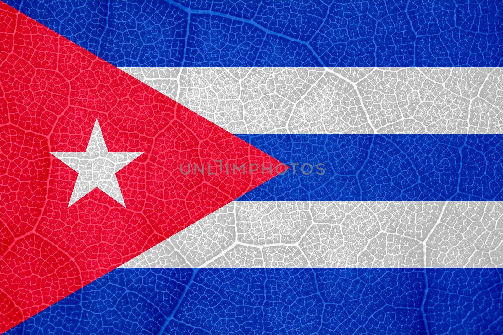 flag of Cuba on the structure of a tree leaf macro. High quality photo