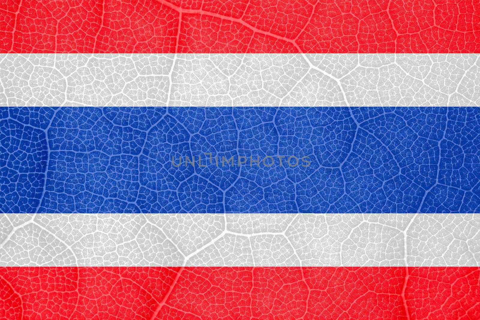 flag of Thailand on the structure of a tree leaf macro. High quality photo