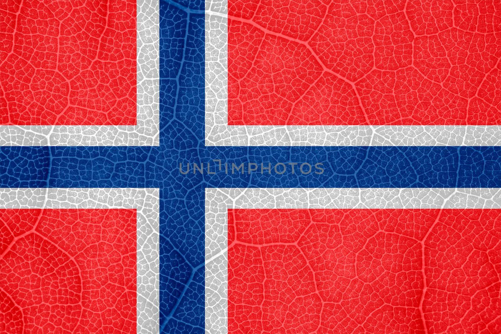 flag of Norway on the structure of a tree leaf macro. High quality photo