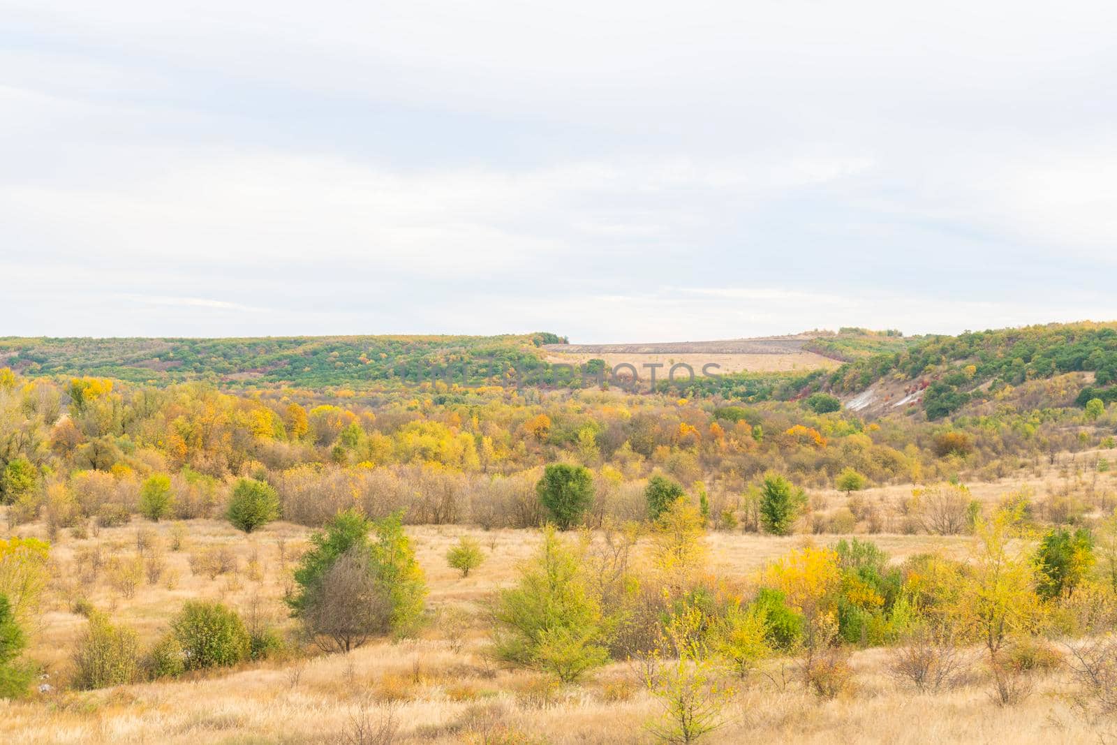 autumn forest landscape with blue sky background. High quality photo