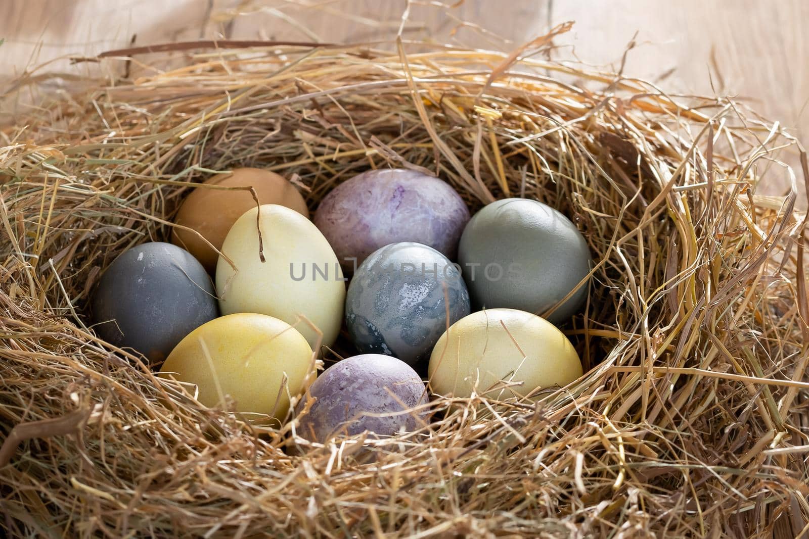 Easter composition - colorful Easter eggs painted with natural dyes in a nest of hay by galsand