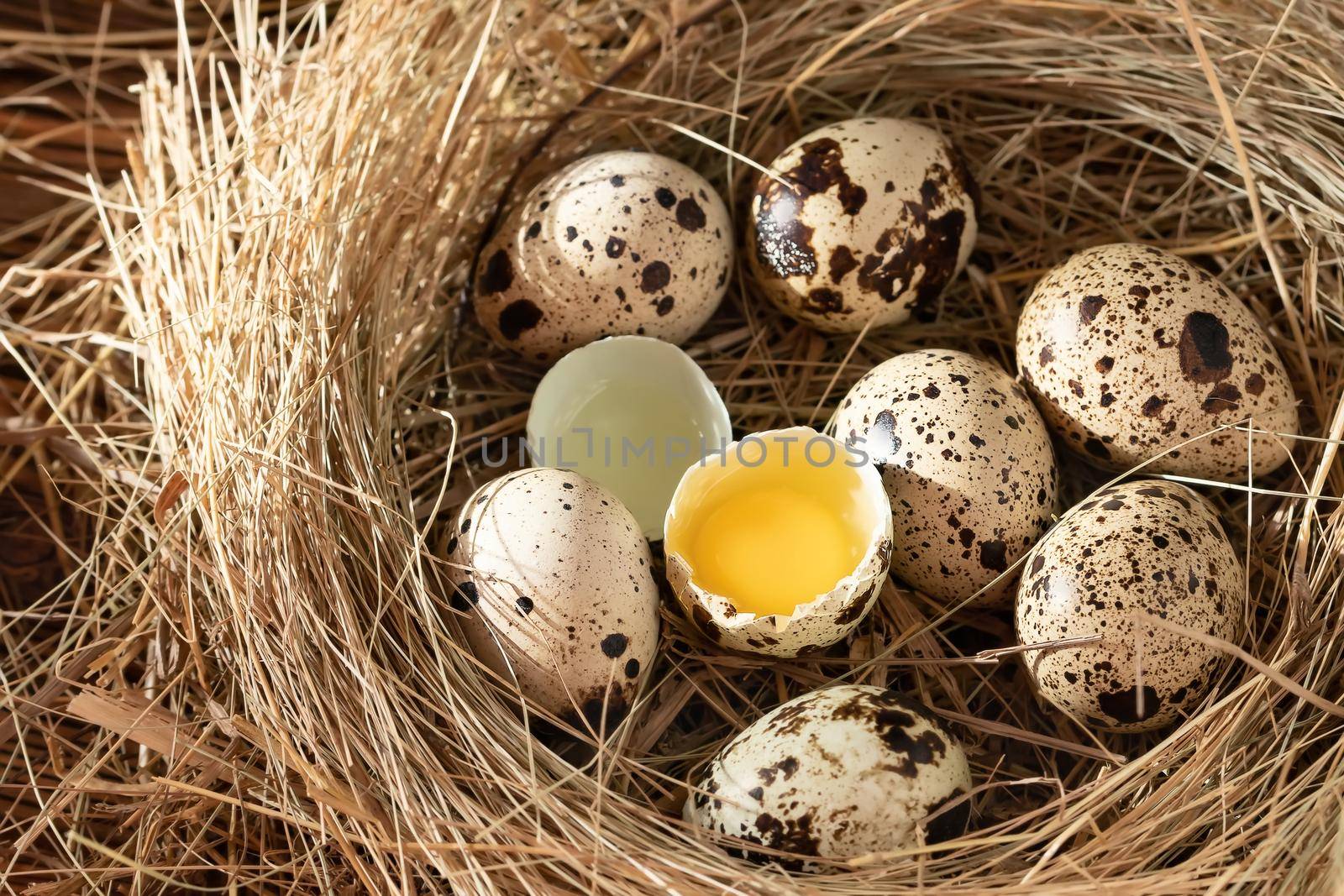 Several quail eggs in a decorative nest made of straw on a wooden table close-up, flatlay.