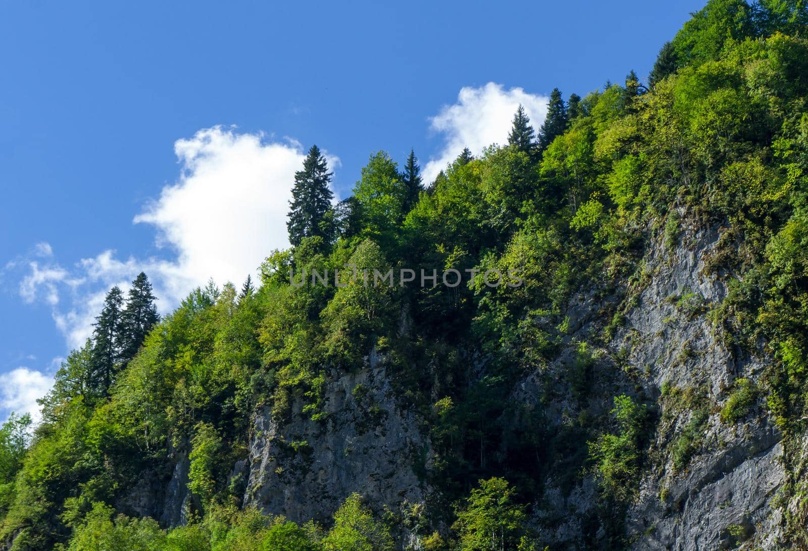Natural landscape with mountains and forests against the sky. Abkhazia