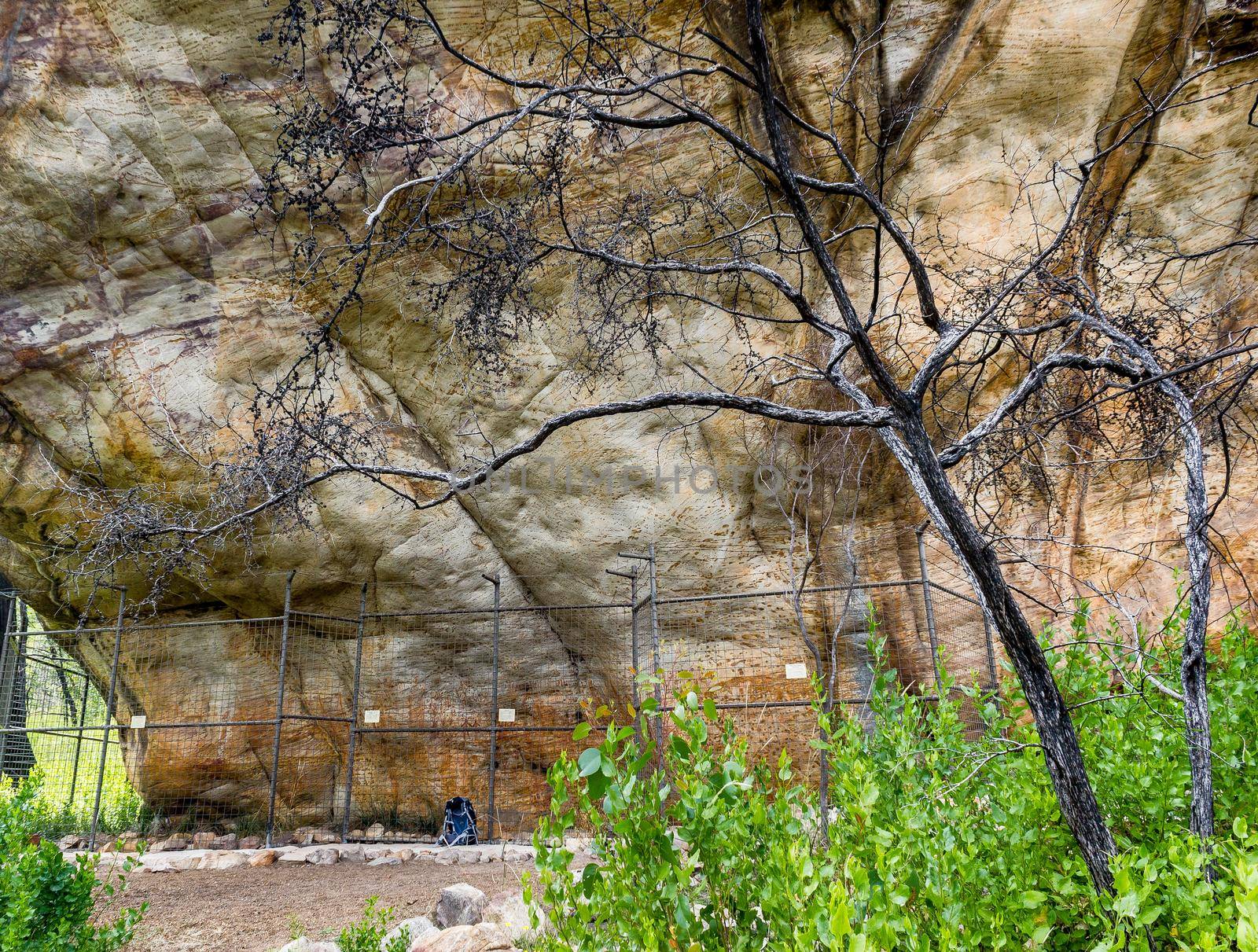 protected cave with a fence for Ancient Aboriginal Art: hand prints, animal herds, spiral, Grampians, australia by bettercallcurry