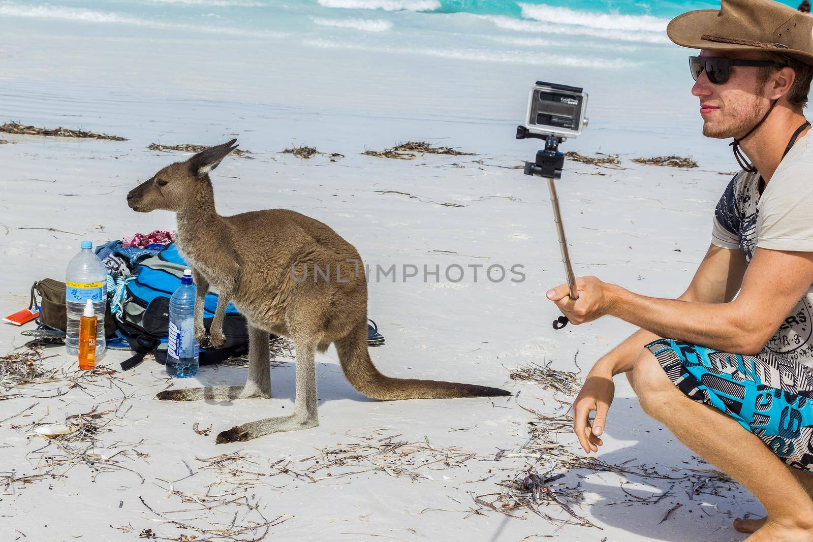 caucasian man is taking a selfie with a beautiful Kangaroo near a backpack at Lucky Bay Beach in the Cape Le Grand National Park near Esperance, Australia by bettercallcurry