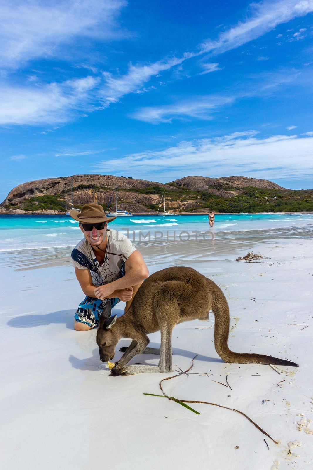 caucasian man pets a beautiful Kangaroo at Lucky Bay Beach in the Cape Le Grand National Park near Esperance, Australia.