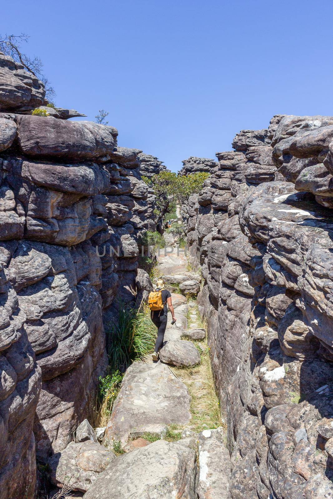 young caucasian women is hiking on the way to the pinnacle lookout, The Central Grampians, Victoria, Australia by bettercallcurry