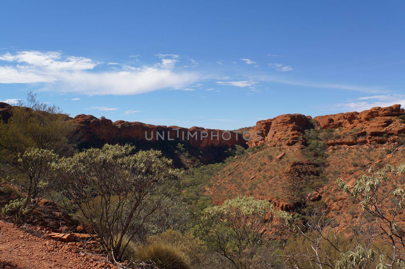 view into a Canyon in australia, Watarrka National Park, Northern Territory, Australia by bettercallcurry