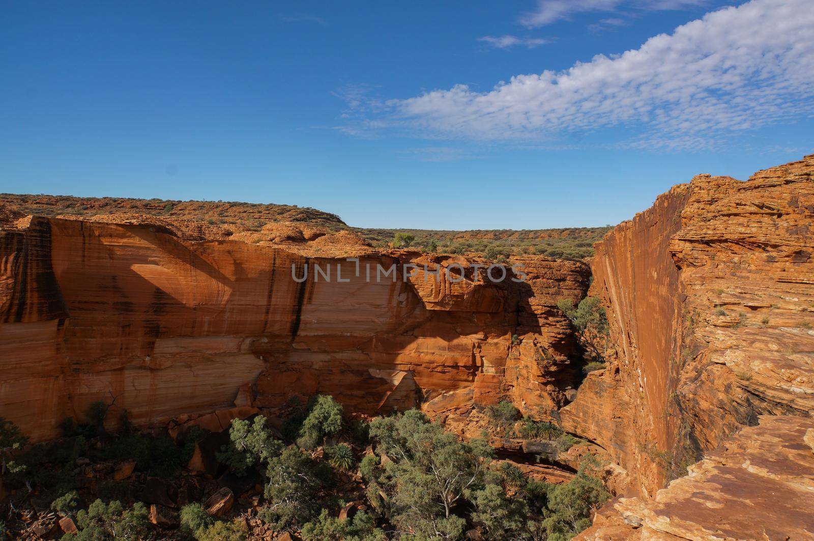 view of the a Canyons wall, Watarrka National Park, Northern Territory, Australia by bettercallcurry