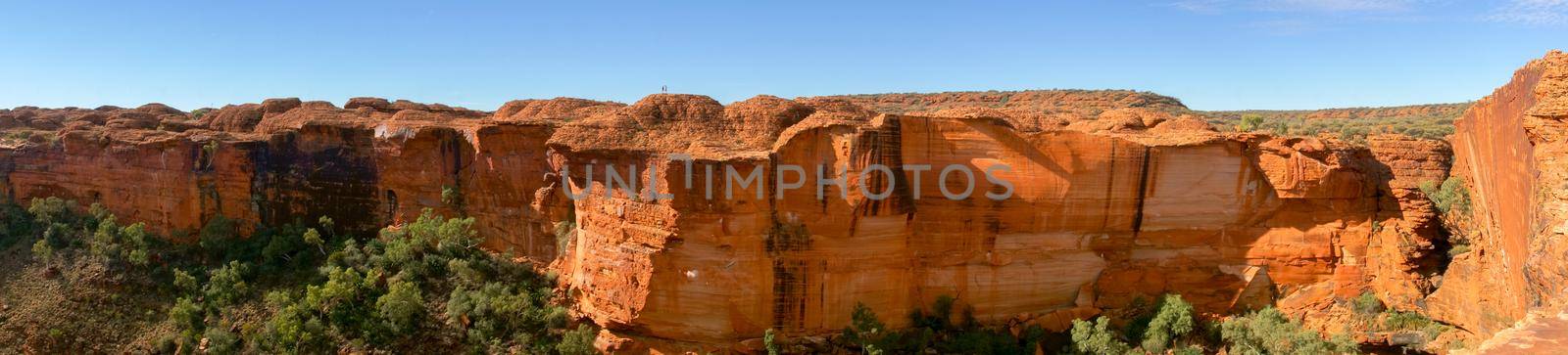 view of the a Canyons wall, Watarrka National Park, Northern Territory, Australia by bettercallcurry