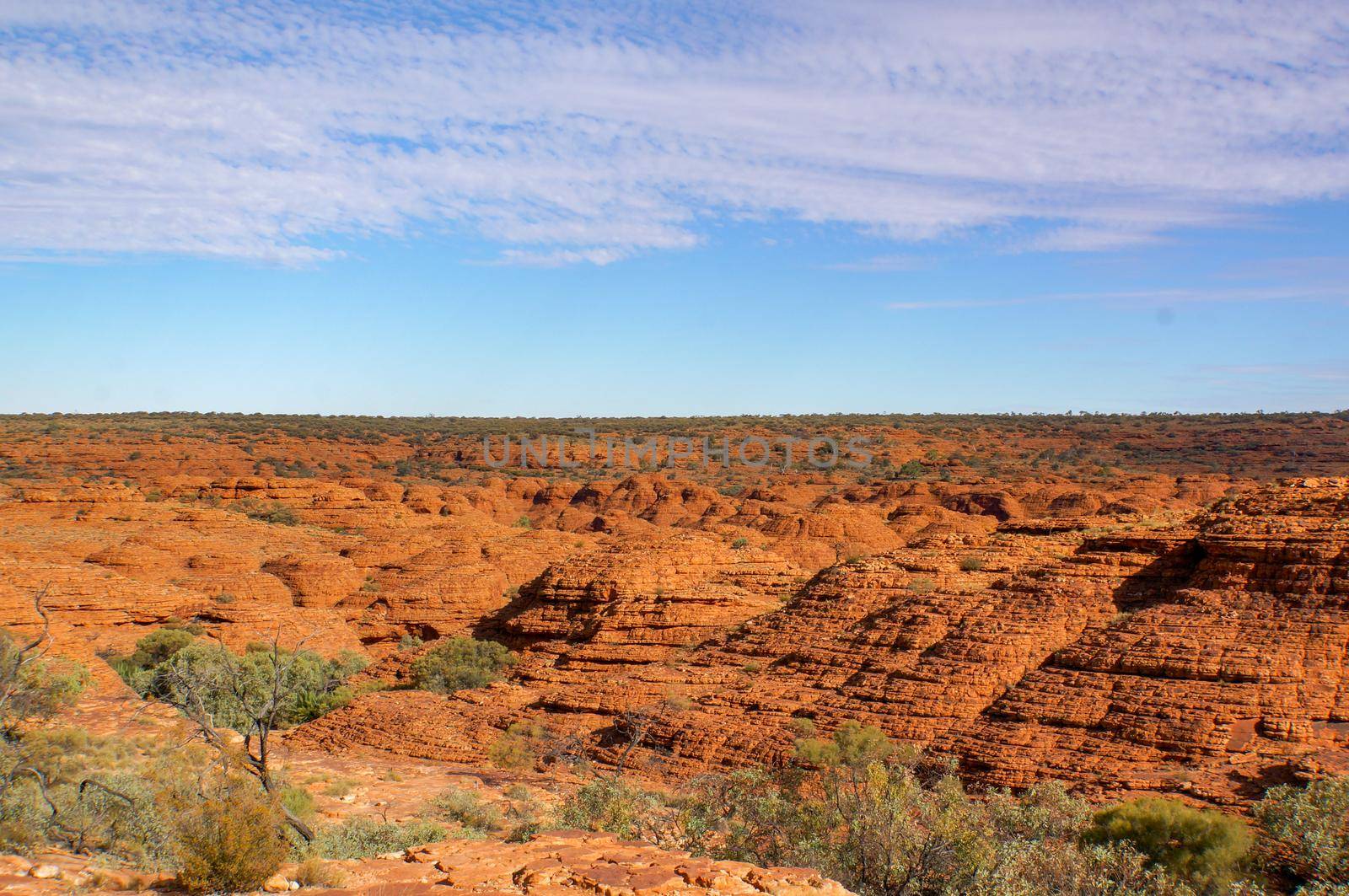 view of the a Canyons wall, Watarrka National Park, Northern Territory, Australia by bettercallcurry