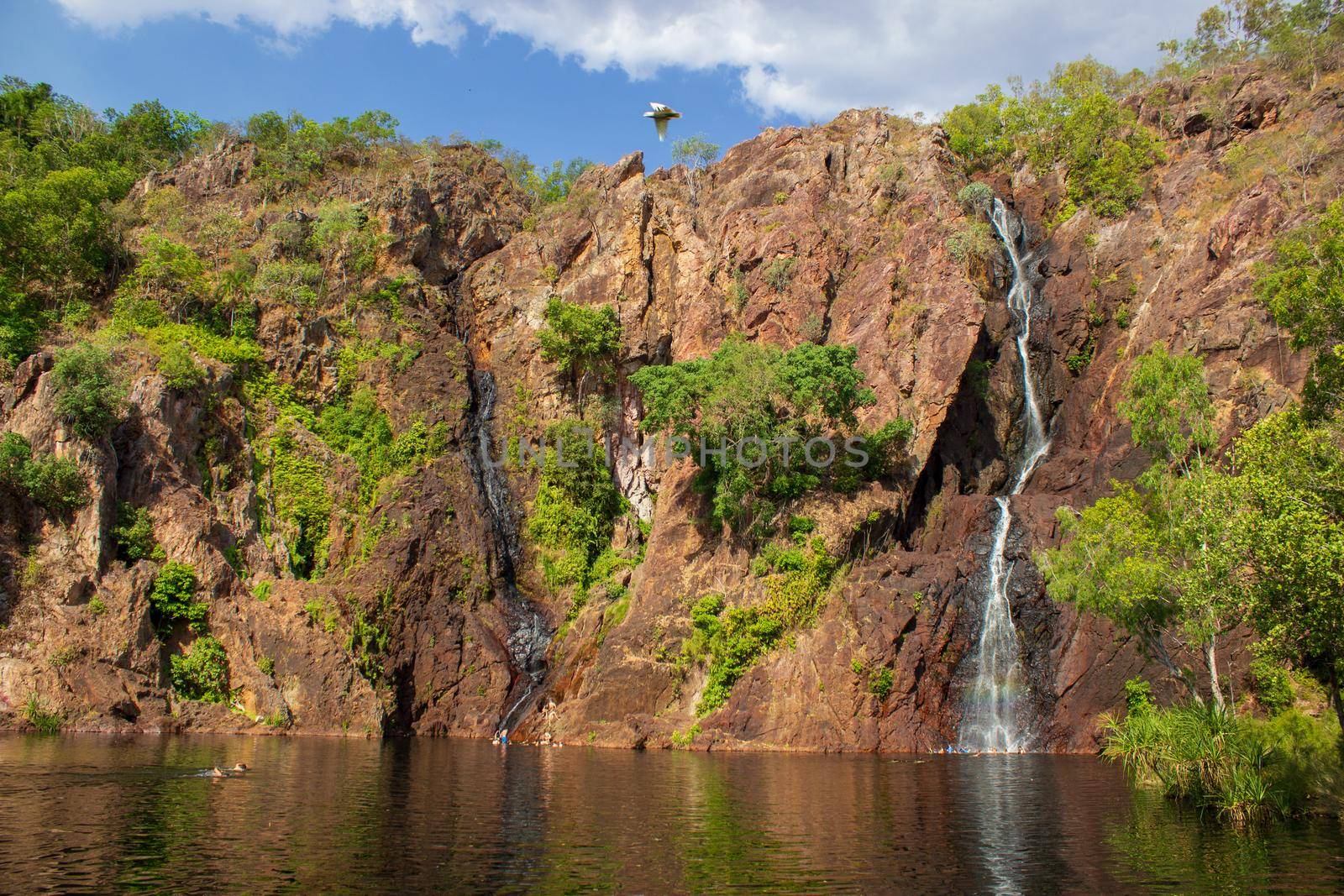 beautiful wangi waterfalls at sunset in litchfield national park, northern territory by bettercallcurry