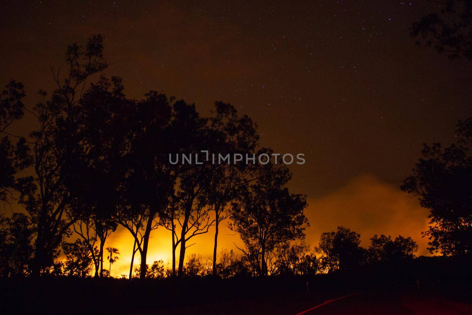 car driving away from a bushfire, forest are really bright because of the fire, litchfield national park, australia
