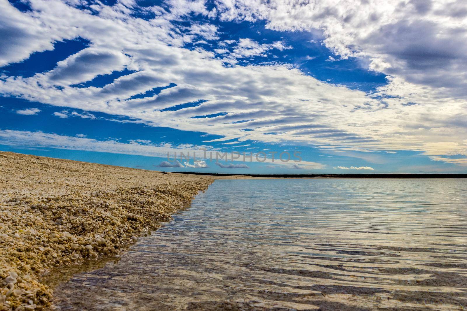 Shellbeach in SharkBay with beautiful cloudy sky, Monkey Mia, Western Australia by bettercallcurry