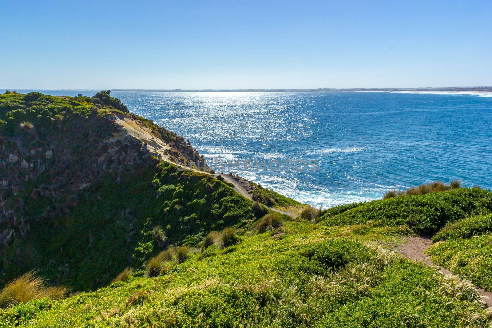 view from the pinnacles lookout, philip island, victoria, australia by bettercallcurry