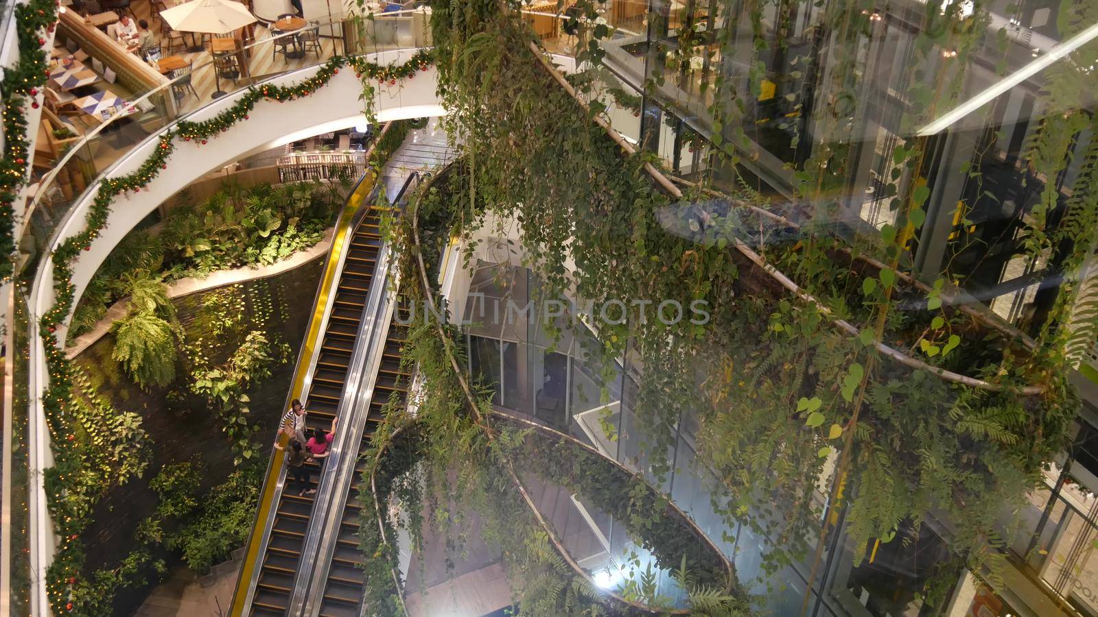BANGKOK, THAILAND - 18 DECEMBER, 2018 The Emquartier luxury shopping center. Design of mall, green environmentally friendly concept. hanging garden futuristic eco architecture. Modern city. Escalator by DogoraSun