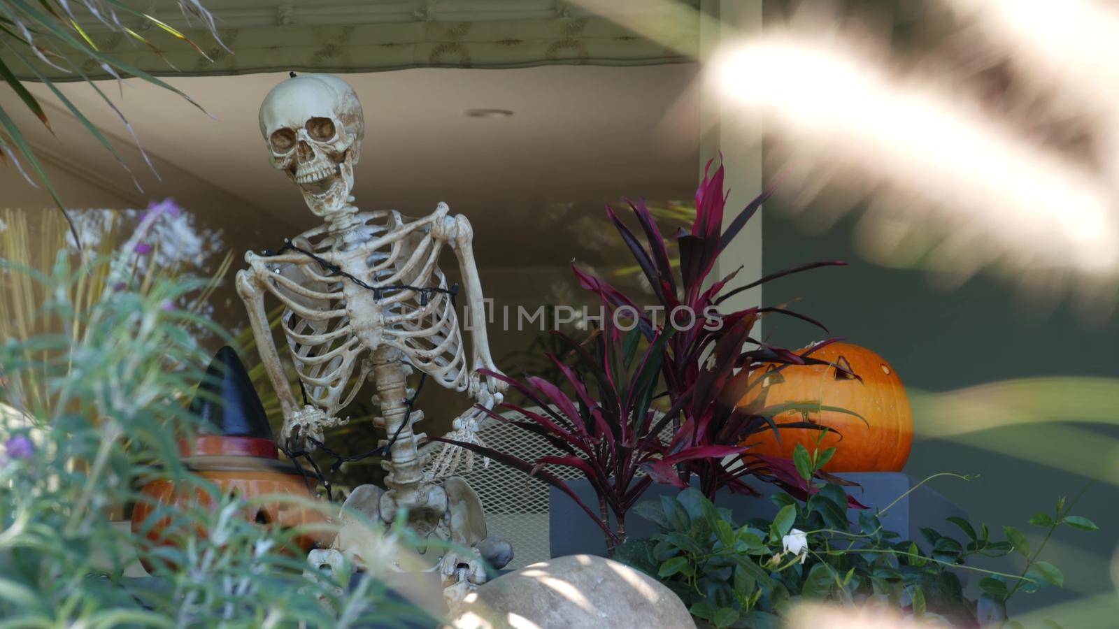 LOS ANGELES, CALIFORNIA, USA - 29 OCT 2019: Scary festival decorations of a house, Happy Halloween holiday. Classic garden with Pumpkin, Bones and Skeleton. Traditional party decor. American culture.