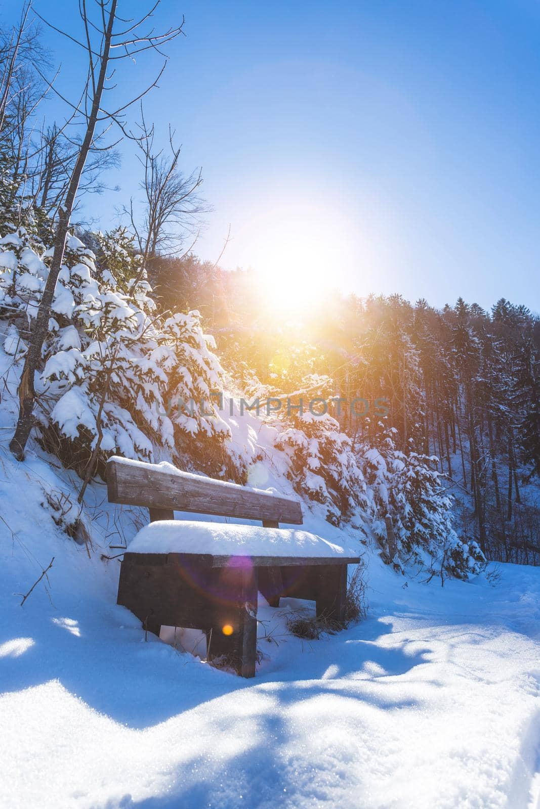 Snow covered bench on Gaisberg, Salzburg. Morning sun and forest. by Daxenbichler