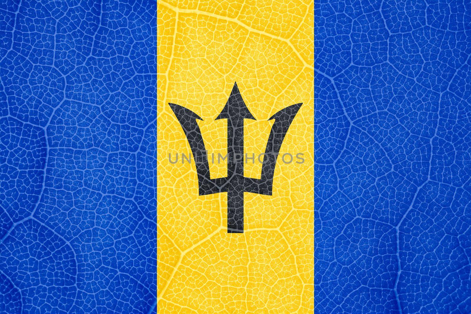 the flag of Barbados on the structure of a tree leaf macro. High quality photo