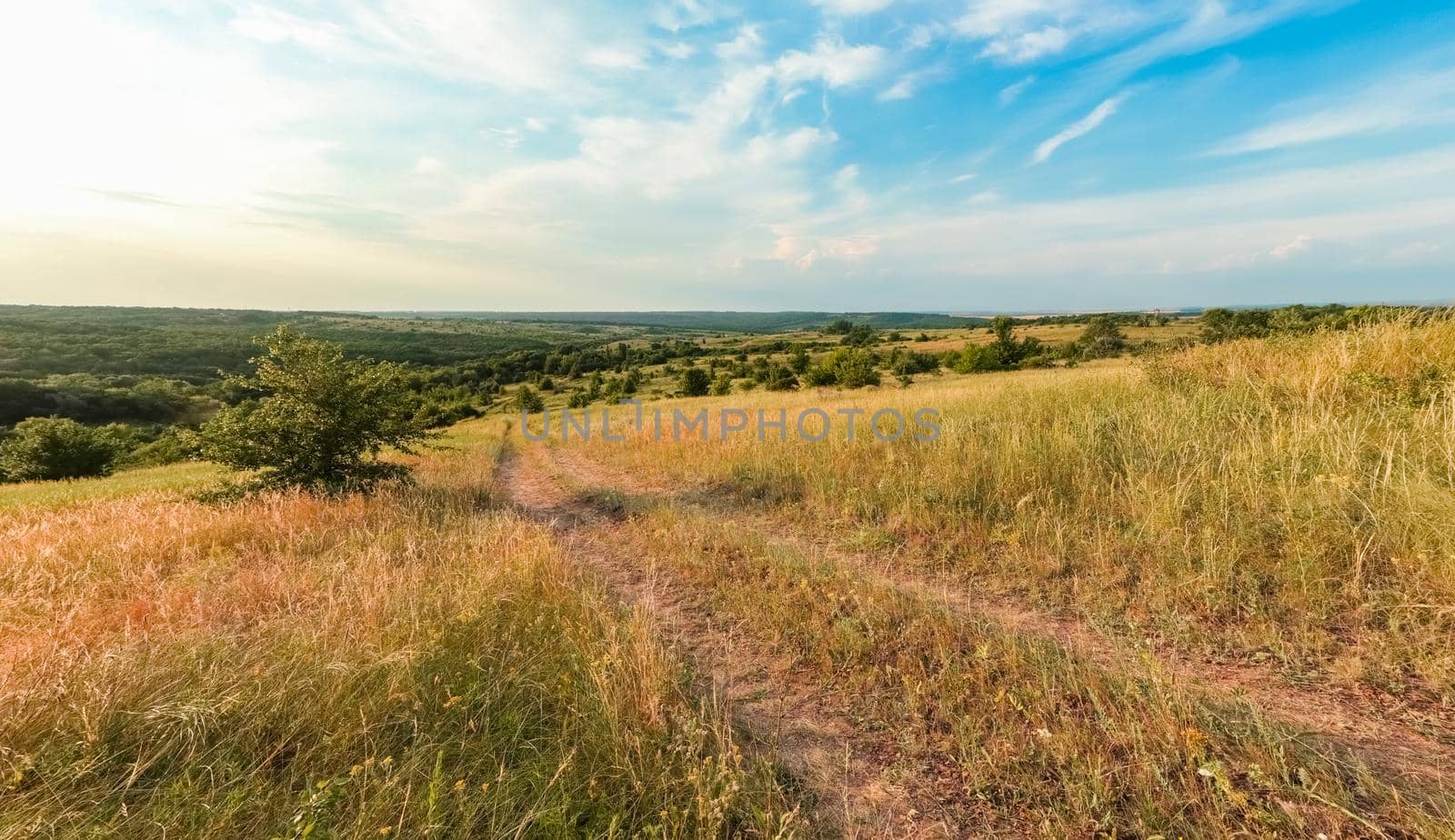 A large green field with trees in the background. the road that goes into the distance. High quality photo
