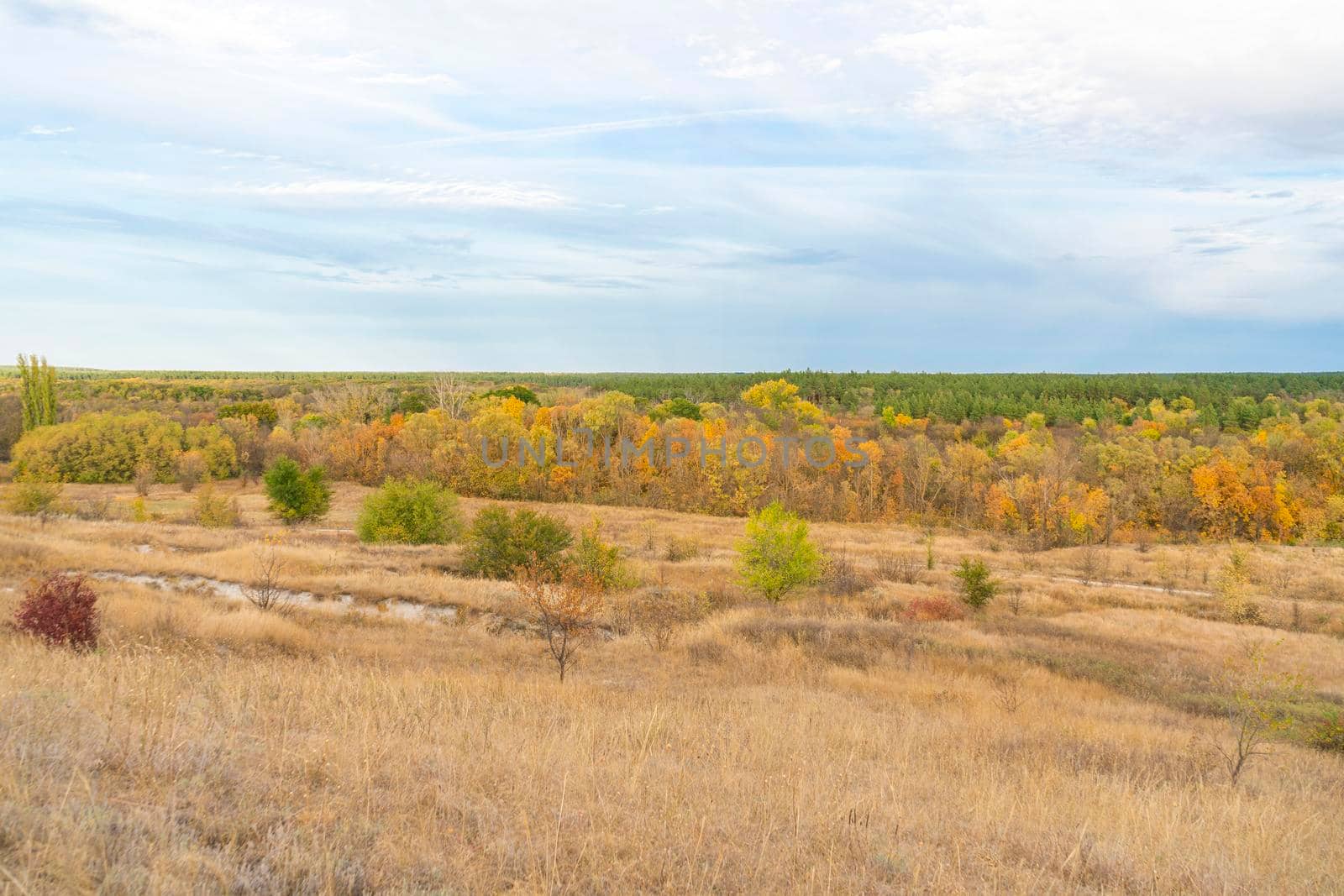 autumn forest landscape with blue sky background. High quality photo