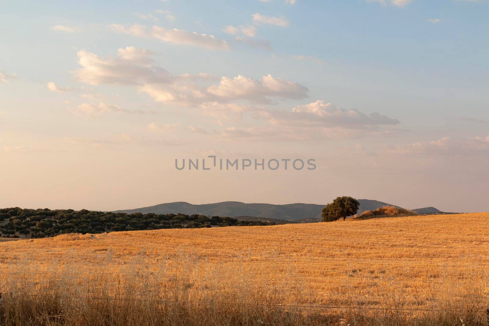 Beautiful couples, fields and landscapes of the Cordoba by loopneo