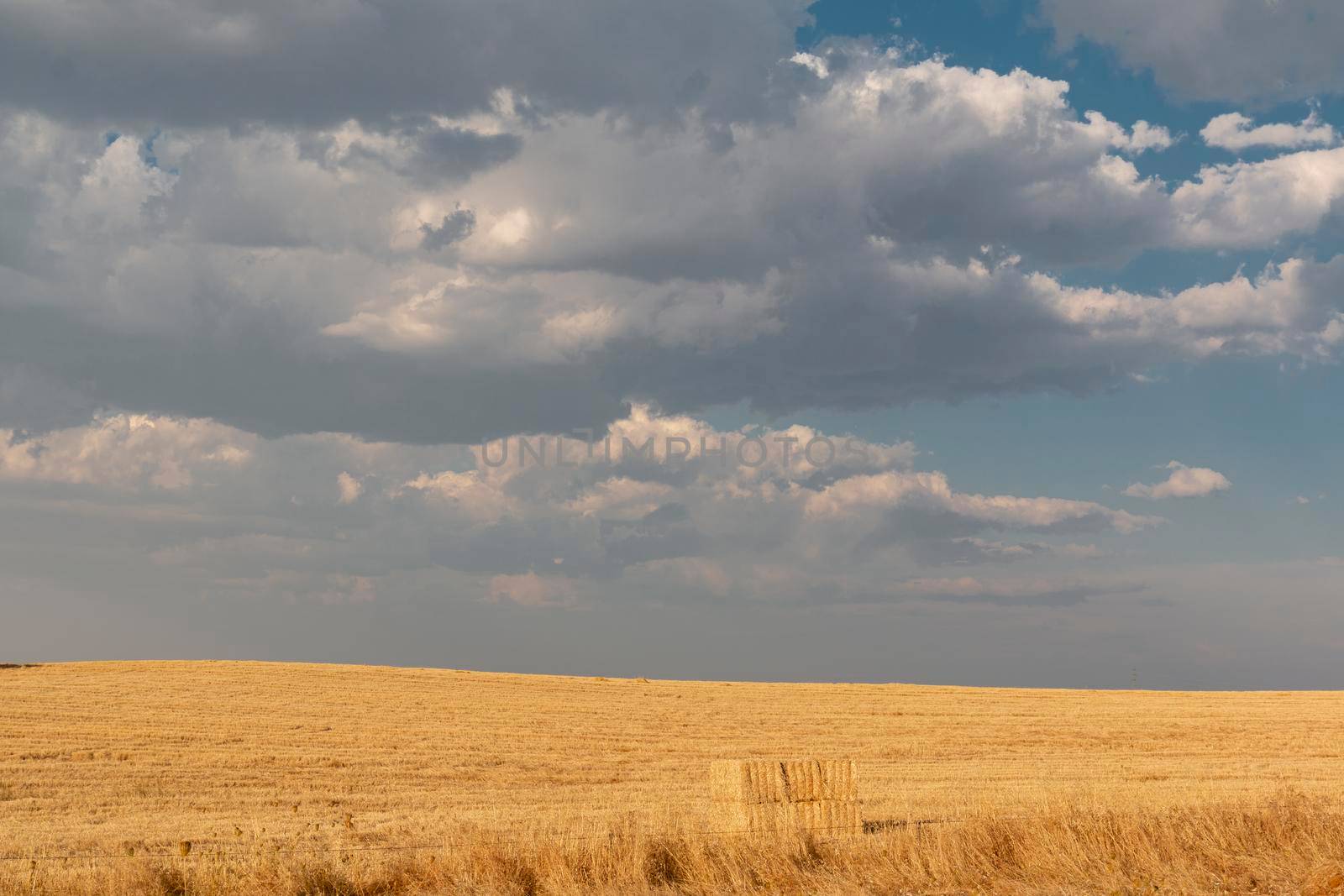 Beautiful couples, fields and landscapes of the Cordoba by loopneo